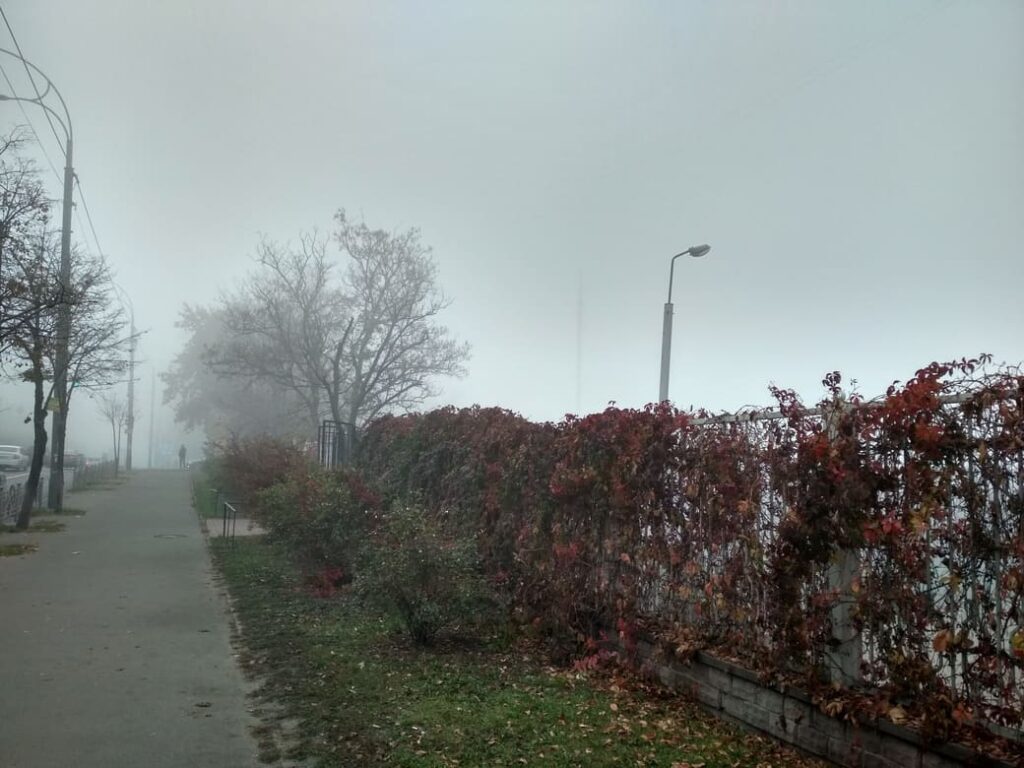 Десь у Солом'янському районі, рослинність та туман вже окутали  шматок району.